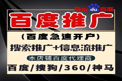 某某sem公司成功案例：如何通过SEM提升教育品牌影响力